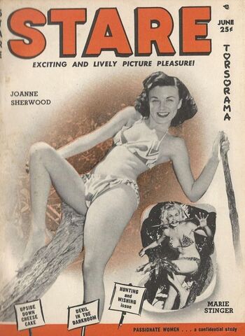 Classic Porn Magazines